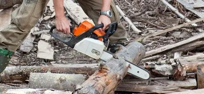 tree removal