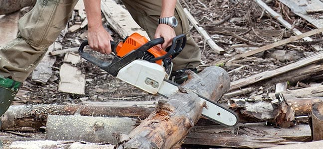 tree removal